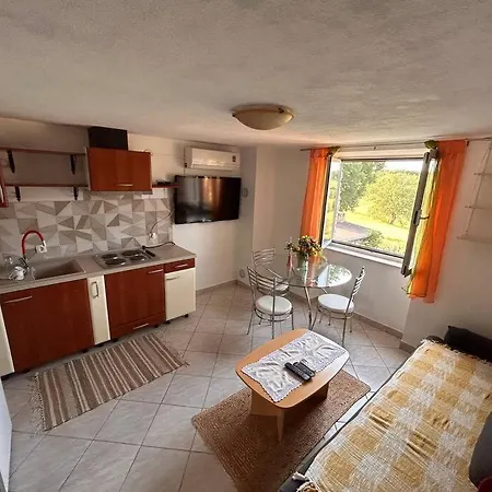 Apartment App Franci Parenzana *